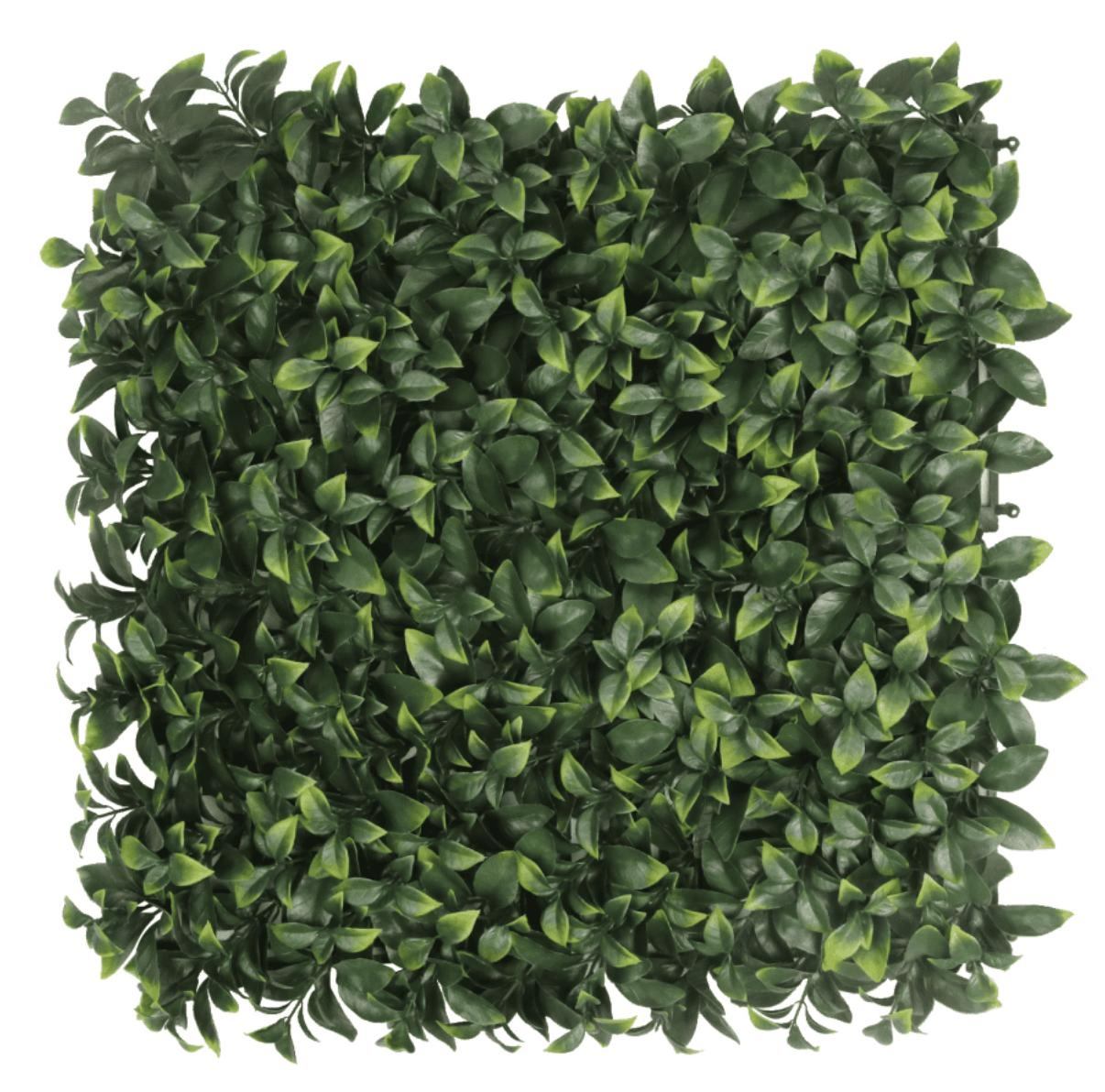 Gardenia Leaf Turf