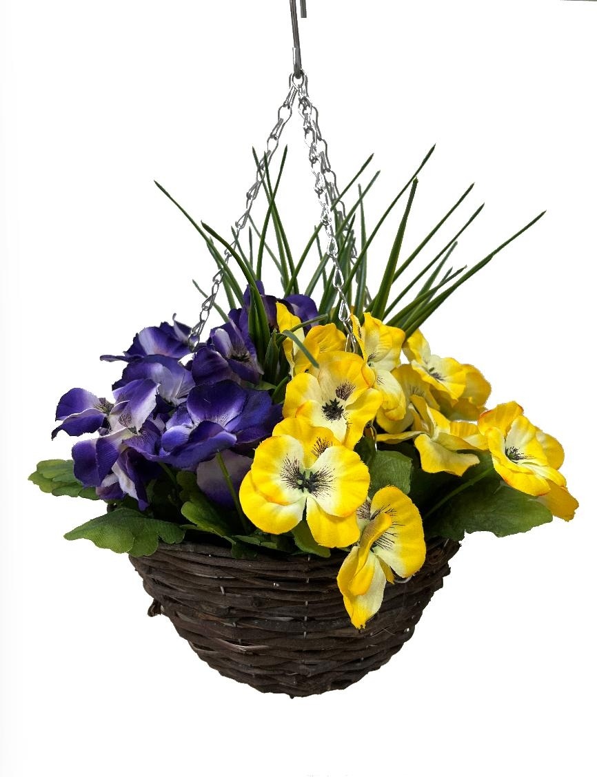 Viola Hanging Basket
